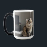 Custom Personalized Cat Photo Collage Tall Coffee Magic Mug<br><div class="desc">Custom Personalized Cat Photo 2 Photos Collage Coffee Mug. You can also click customize further to add, delete or change details like background colour, text, font, or some graphics. Upload your cat photos, add your text/cat names (optional) for a unique coffee mug. Displayed is 15oz coffee mug. 11 oz mug...</div>