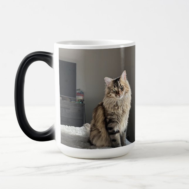 Custom Personalized Cat Photo Collage Tall Coffee Magic Mug (Left)