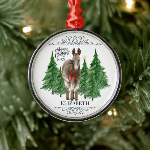 Custom Personalized Donkey Christmas Metal Ornament