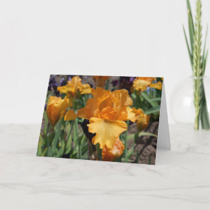 Custom Personalized Greeting Cards Orange Irises