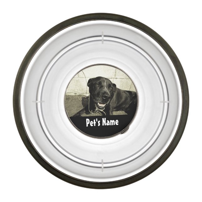 Custom Personalized Name Colour Photo Pet Bowl (Front)