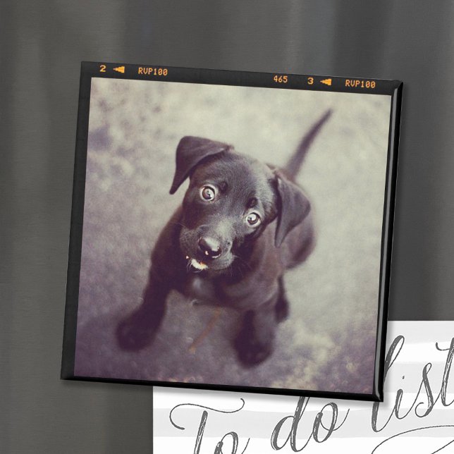 Custom Personalized Photo Gift Magnet (Creator Uploaded)