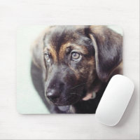 Custom Personalized Photo Gift