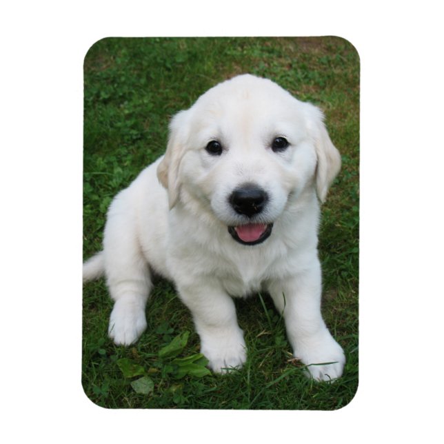 Custom Personalized Photo I Pet Picture Magnet (Vertical)