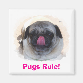 Custom Personalized Photo Magnets