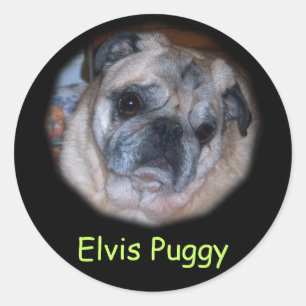 Custom Personalized Photo Stickers