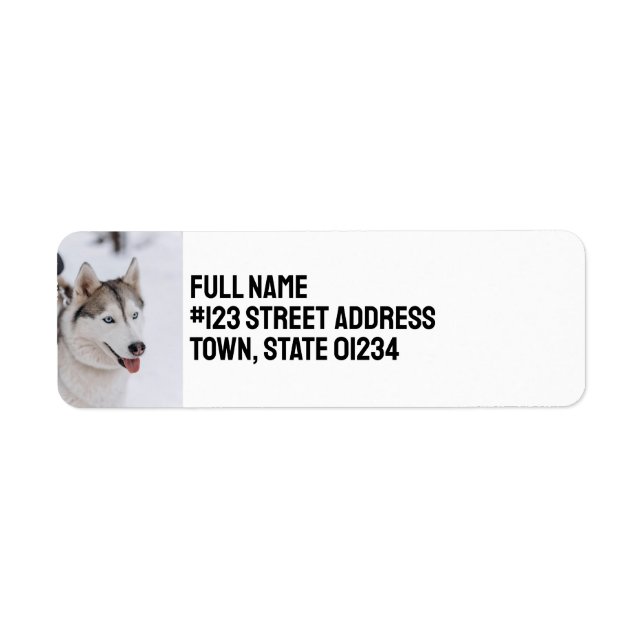 Custom Personalized Siberian Husky Dog (Front)