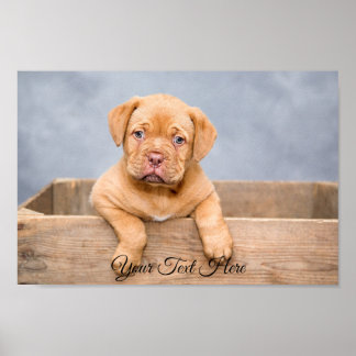 Custom Personalized Wide Poster Photo Print