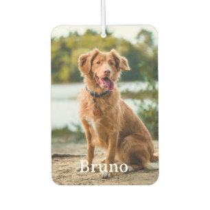 Custom Pet 2 Photo Name Dog Lovers  Air Freshener
