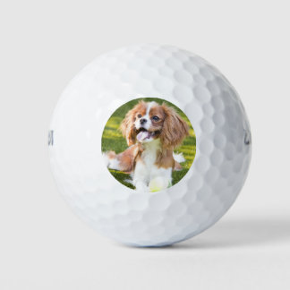 Custom Pet Add Your Photo  Golf Balls