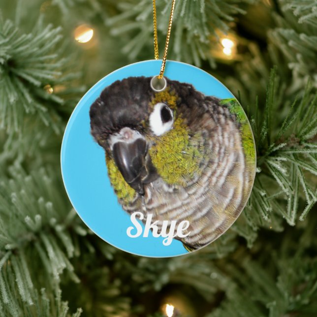 Custom Pet Bird Photo Name Ceramic Ornament (Tree)