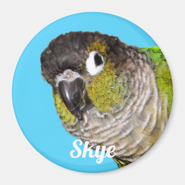 Custom Pet Bird Photo Name Magnet (Front)
