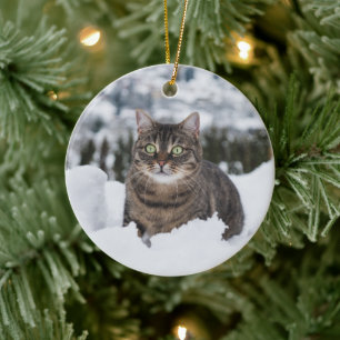 Custom Pet Cat 2 Photo Christmas Ceramic Ornament