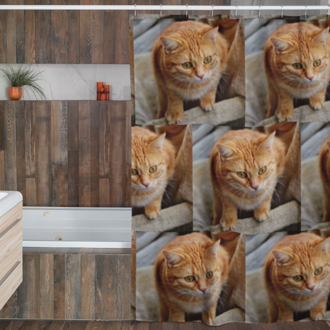 Custom Pet Cat Dog Photo Template (Creator Uploaded)