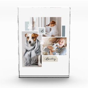 Custom Pet Collage Monogram Modern Theme Photo Block
