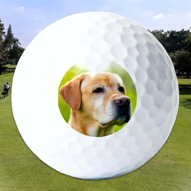 Custom Pet Dog Cat Photo Personalized Golf Balls (Creator Uploaded)
