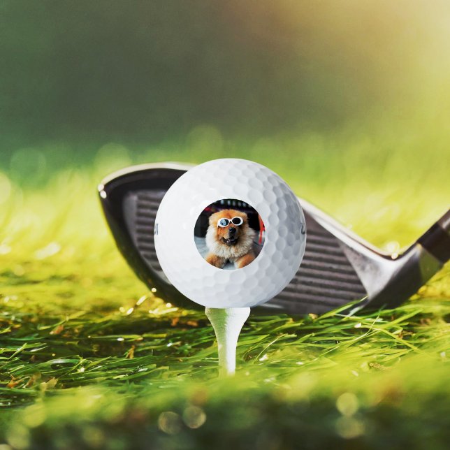 Custom Pet Dog Photo Golf Balls (Creator Uploaded)