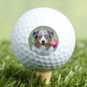 Custom Pet Dog Photo Personalized Golf Balls