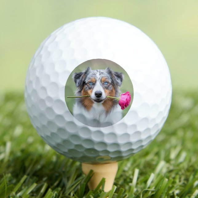 Custom Pet Dog Photo Personalized Golf Balls (Custom Pet Dog Photo Personalized Golf Balls)