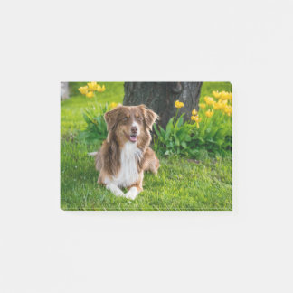 Custom Pet Dog Photo Personalized Post-it Notes