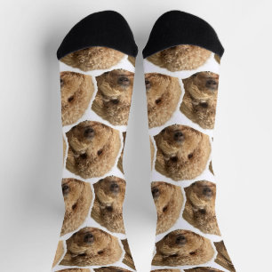Custom Pet Face Socks for Dog Lovers