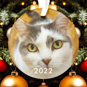 Custom Pet Family Photo Texte Noël