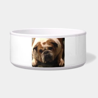 CUSTOM PET LOVER YUM YUM BOWL