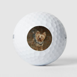 Custom Pet or Family Photo Golf Balls