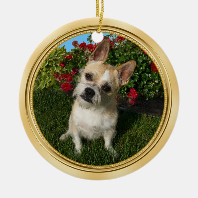 Custom Pet Ornament with Your 2 Pet PHOTOS (Front)
