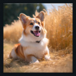 Custom Pet Photo<br><div class="desc">Turn your favourite photo into a unique, personalized gift! Use a family picture, a cute pet photo, or any image you love to create something special. Perfect for holidays or any occasion, these gifts are sure to make your loved ones smile. Note: The photo shown is just an example. Please...</div>