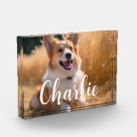Custom Pet Photo