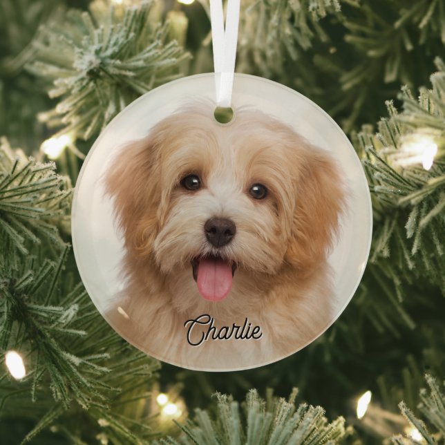 Custom Pet Photo and Name Christmas Holiday Glass Ornament (Insitu)