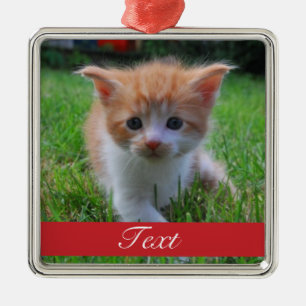 Custom Pet Photo and name or date Metal Ornament