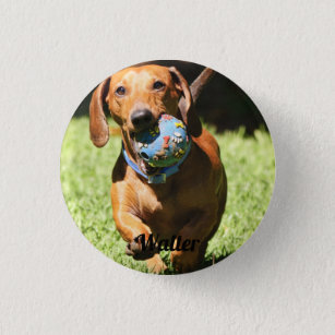 Custom Pet Photo and Text   1 Inch Round Button