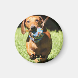 Custom Pet Photo and Text Magnet