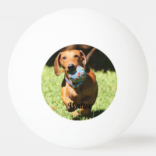 Custom Pet Photo and Text Ping Pong Ball