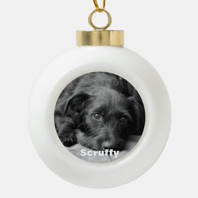 Custom pet photo ball ornament (Front)