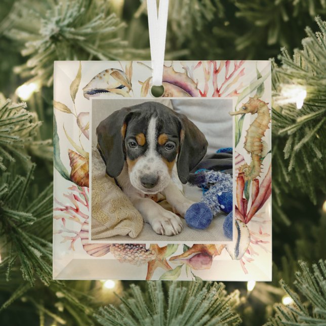 Custom Pet Photo Beach Christmas Glass Ornament (Insitu)