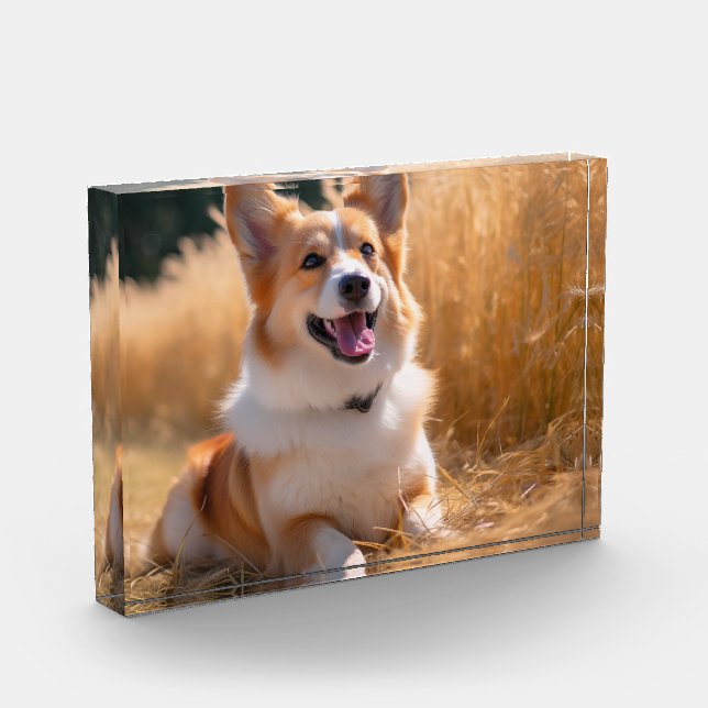 Custom Pet Photo Block (Left)