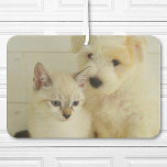 Custom Pet Photo Car Air Freshener<br><div class="desc">Upload your photo and create your personalized photo car air freshener. You can TRANSFER this DESIGN on other Zazzle products and adjust it to fit most of the Zazzle items. You can also click the CUSTOMIZE button to add, delete or change details like background colour, text, font or some graphics....</div>