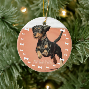 Custom Pet Photo Ceramic Ornament