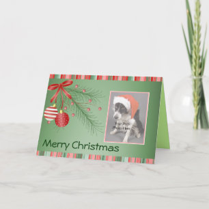 Custom Pet Photo Christmas cards