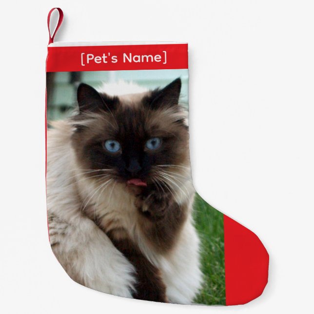 Custom Pet Photo Christmas Stocking (Front)
