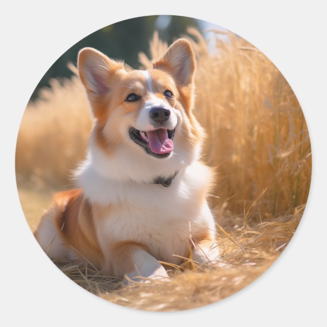 Custom Pet Photo Classic Round Sticker (Front)