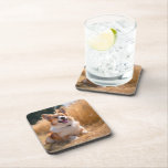 Custom Pet Photo Coaster<br><div class="desc">Turn your favourite photo into a unique, personalized gift! Use a family picture, a cute pet photo, or any image you love to create something special. Perfect for holidays or any occasion, these gifts are sure to make your loved ones smile. Note: The photo shown is just an example. Please...</div>