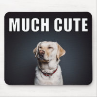 Custom Pet Photo Funny Much Cute Meme Style