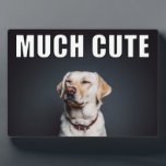 Custom Pet Photo Funny Much Cute Meme Style Plaque<br><div class="desc">Create a fun custom photo gift when you add your own photo to this MUCH CUTE display plaque. This desktop or table top plaque is in the style of an internet meme with the phrase MUCH CUTE in bold white and black lettering over the top of your photo. It's great...</div>