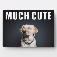 Custom Pet Photo Funny Much Cute Meme Style