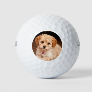 Custom pet photo golf balls