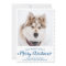 Custom Pet Photo Merry Christmas Dog Lover